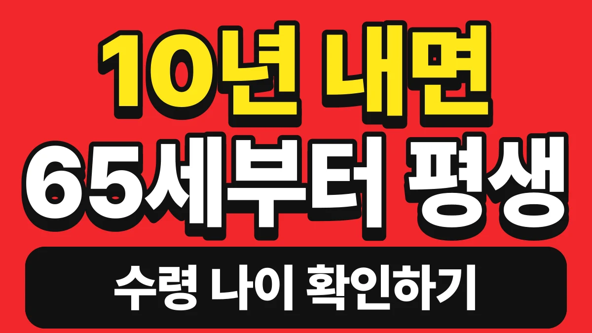 루이 국민연금, 모르면 손해 보는 수령 시기와 예상 수령액 한 번에
